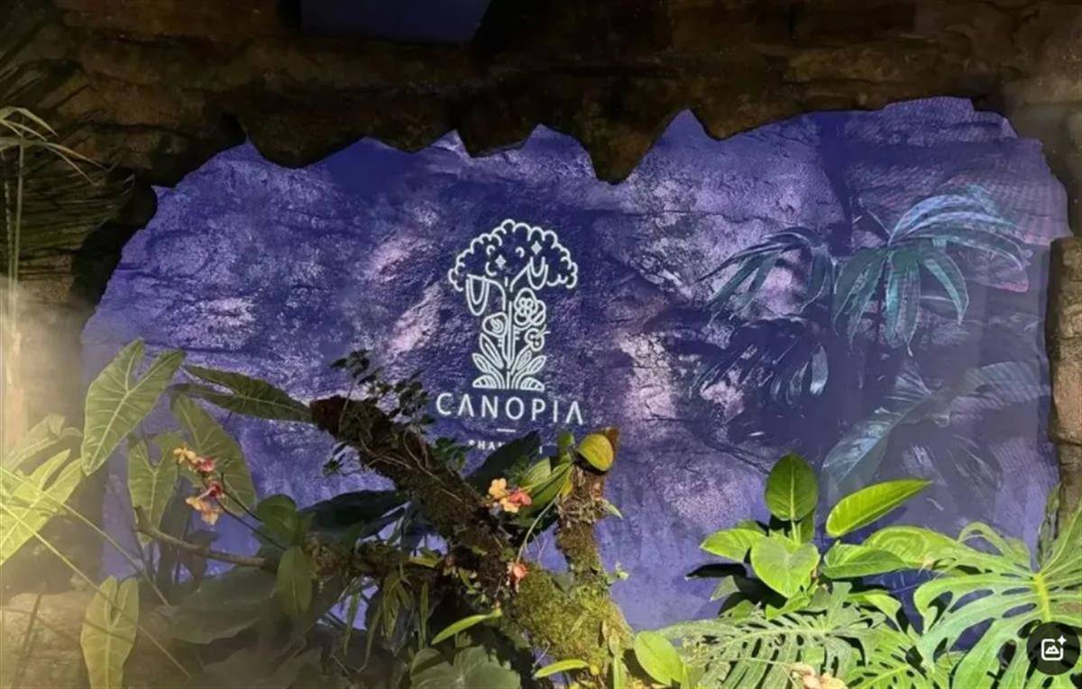 瑞士乙组联赛升级赛
_用大象粪便做甜品的餐厅瑞士乙组联赛升级赛
，因违反《食品安全法》被立案调查