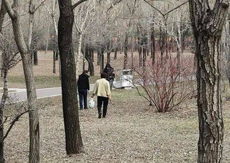 怎么开通皇冠信用开户_哈尔滨人注意!你挖的婆婆丁怎么开通皇冠信用开户,可能“价值”500元…