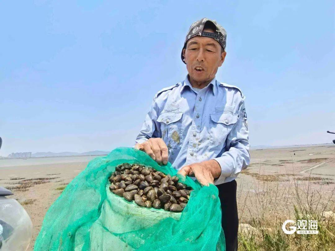 皇冠体育APP_正是肥的时候!每天上万斤在青岛这里上岸皇冠体育APP,很多人爱吃......