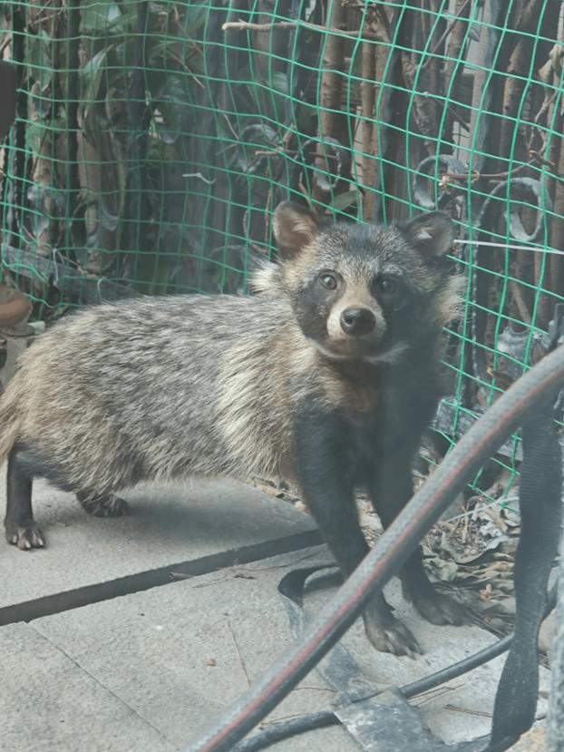 皇冠登一登二登三区别_上海一小区居民苦恼新邻居:突然搬来让人提心吊胆皇冠登一登二登三区别!不能抓不能打