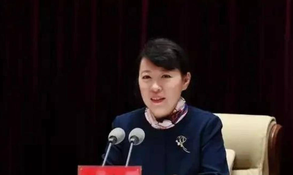 AC米兰vs克雷莫内塞
_“换装主席”王莉霞的堕落:从光鲜人设到腐败深渊