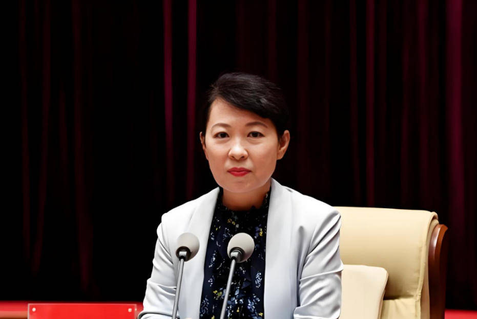 AC米兰vs克雷莫内塞
_“换装主席”王莉霞的堕落:从光鲜人设到腐败深渊