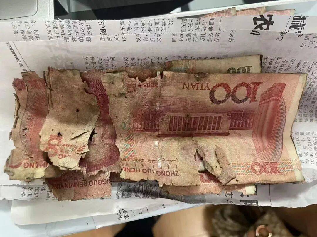 冰岛超级联赛_大连一老人将10万元现金埋地下冰岛超级联赛，两年后挖出来一看，蒙了…