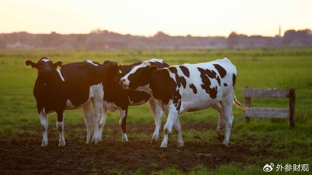 外围买球app十大平台
_当液态奶触达天花板:伊利的下一个“金典”在哪里外围买球app十大平台
?