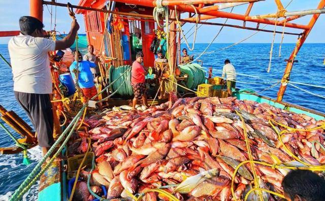 皇冠信用盘申请条件
_中方一脚将日本踢出局皇冠信用盘申请条件
,印度狂喜接盘!先问问14亿中国人答不答应