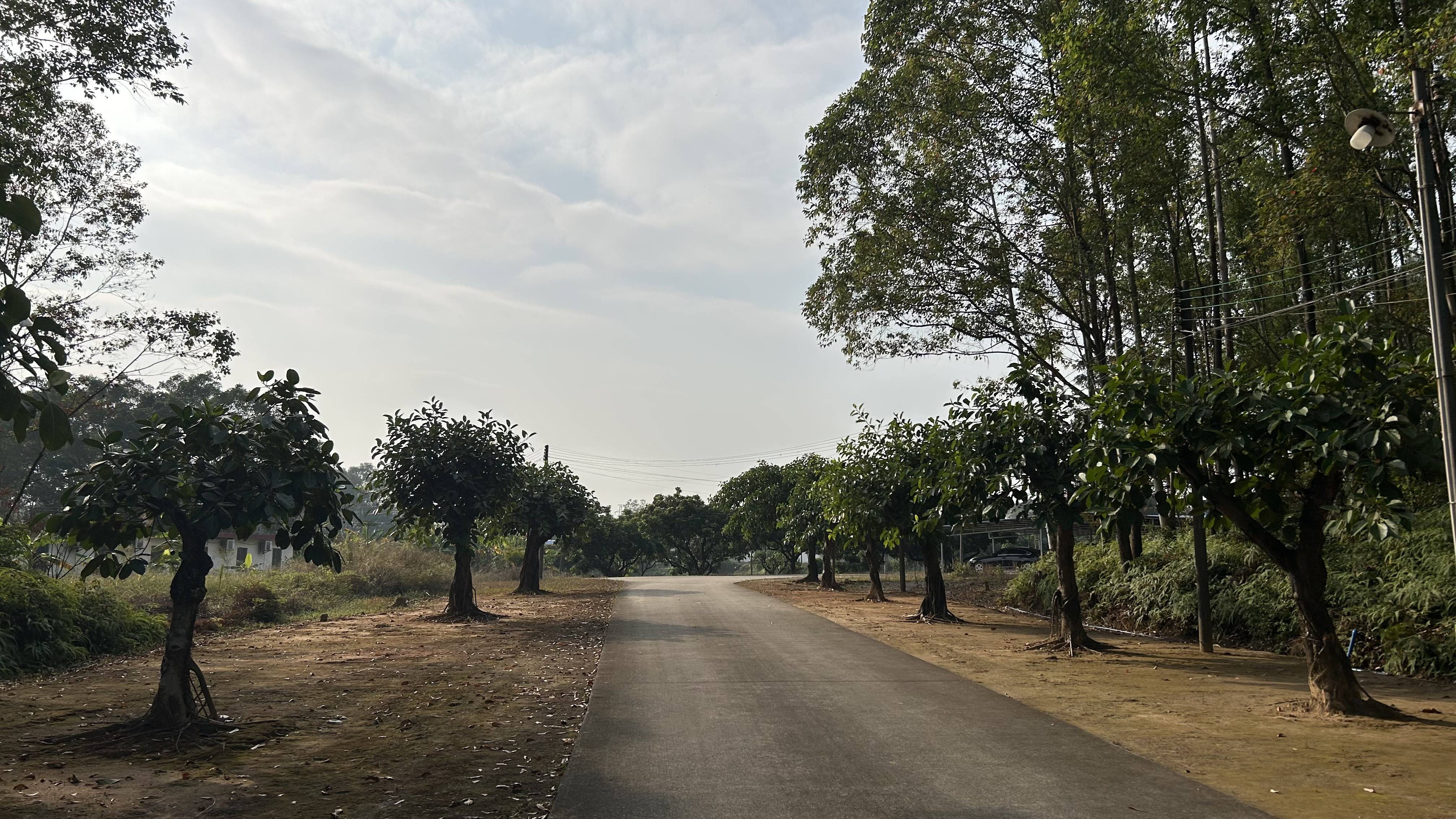 皇冠信用網出租代理_有价无猴！实验猴价格暴涨皇冠信用網出租代理，有猴场明年的猴都被订光，繁殖率已跟不上｜调查