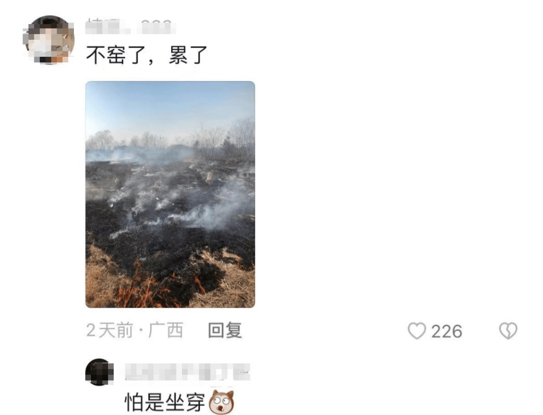 网上买球怎么买_柳州俩人竟在绿化带里“窑鸡”网上买球怎么买，鸡还未入窑就......