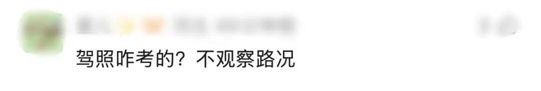 世界杯代理_“树全责世界杯代理！”上海一司机撞树喊冤：这棵树长太歪！交警一句话点醒众人