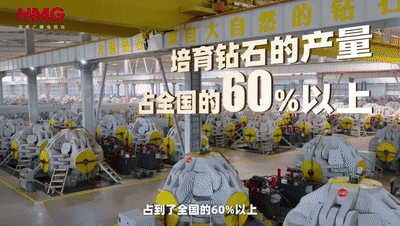 2022足球平台出租 _金刚石在河南的N种模样丨开局之年看中国